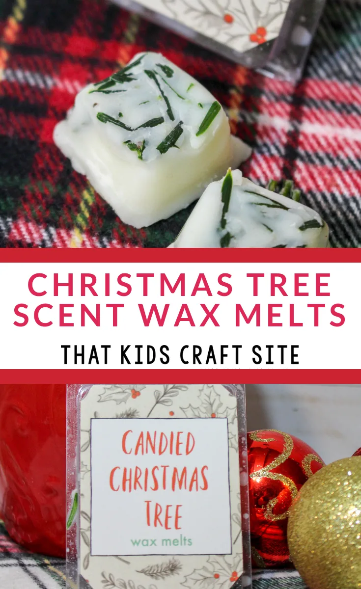 DIY Christmas Tree Scent Wax Melts Craft for Teens - ThatKidsCraftSite.com