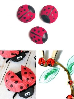 33 of the Cutest Ladybug Crafts for Preschoolers - ThatKidsCraftSite.com
