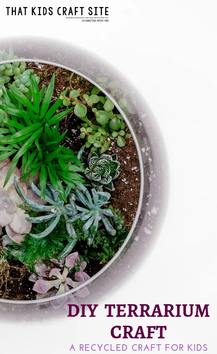 DIY Terrarium Craft - Recycled Craft Ideas for Kids - ThatKidsCraftSite.com