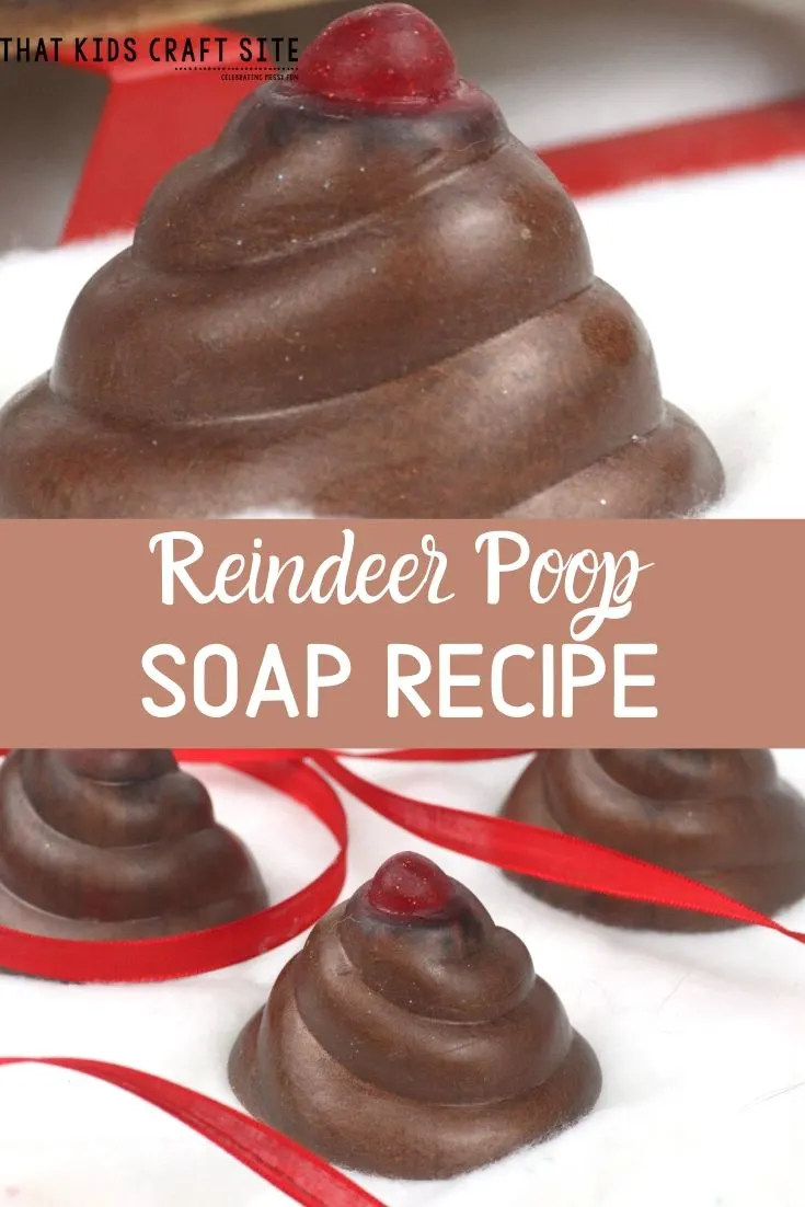 DIY Reindeer Poop Recipe for Soap - ThatKidsCraftSite.com