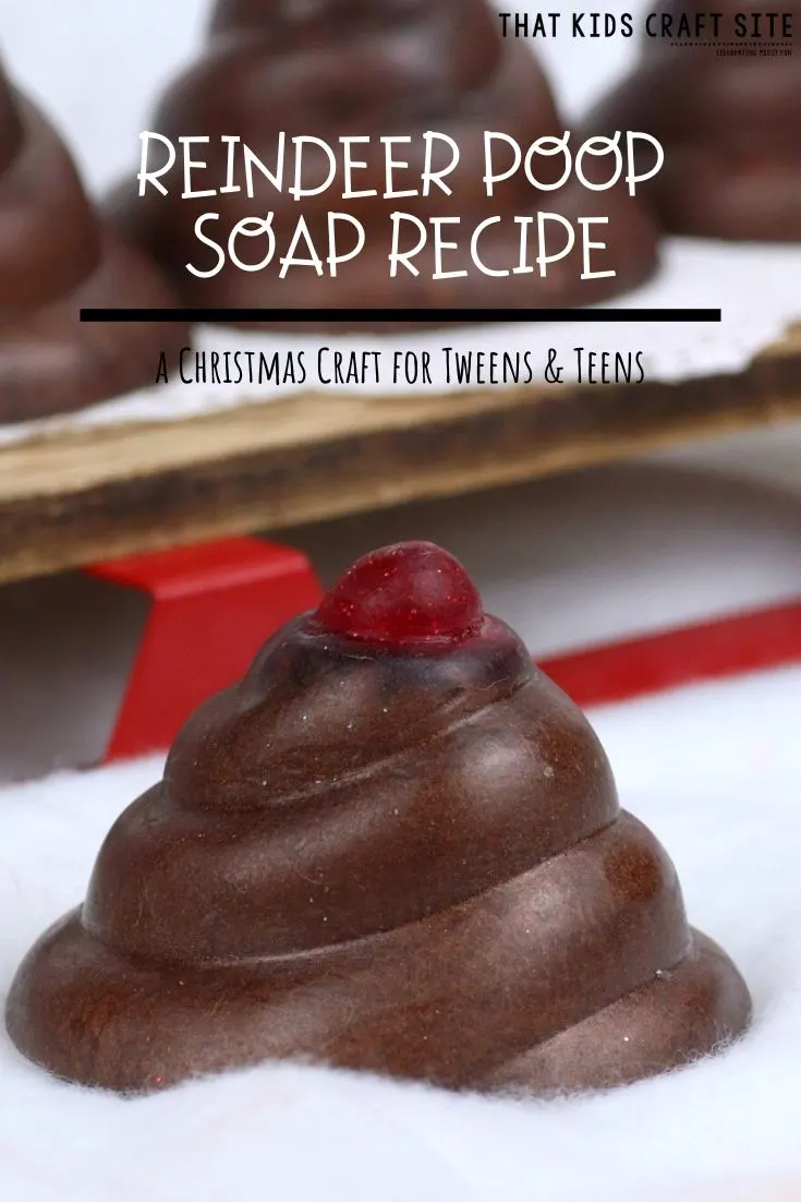 Reindeer Poop Soap Recipe - A Christmas Craft for Tweens and Teens - ThatKidsCraftSite.com