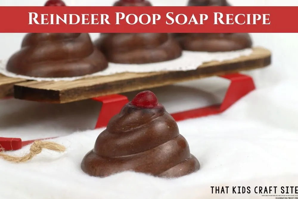 Reindeer Poop Soap Recipe