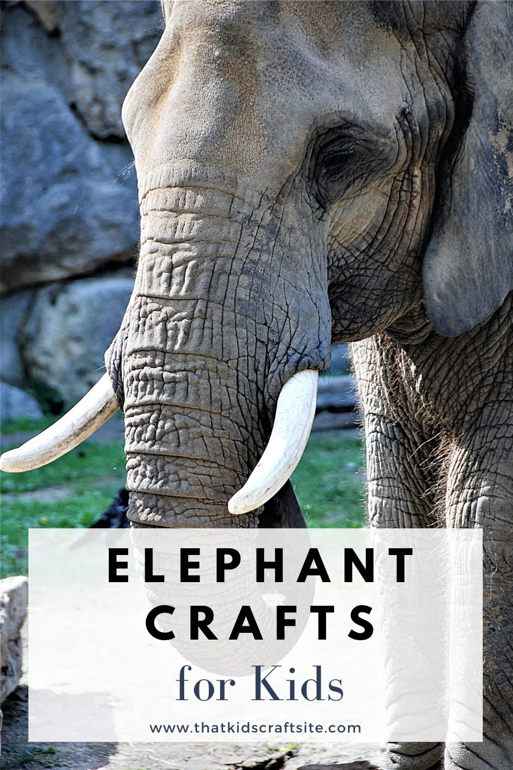 Elephant Crafts for Kids