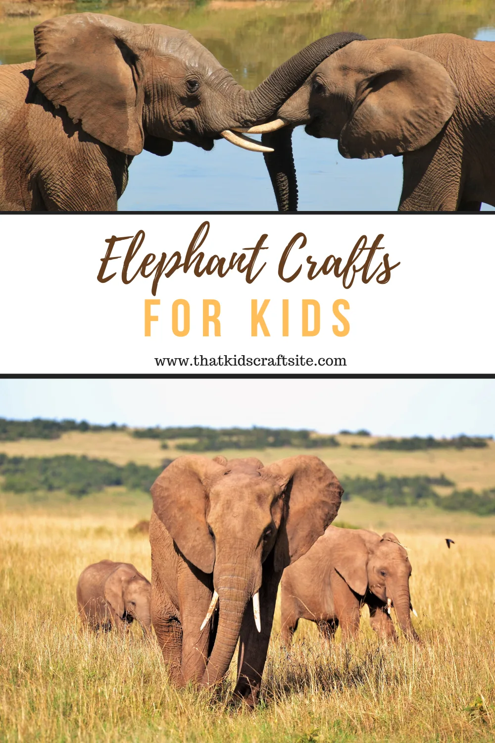 Elephant Crafts for Kids