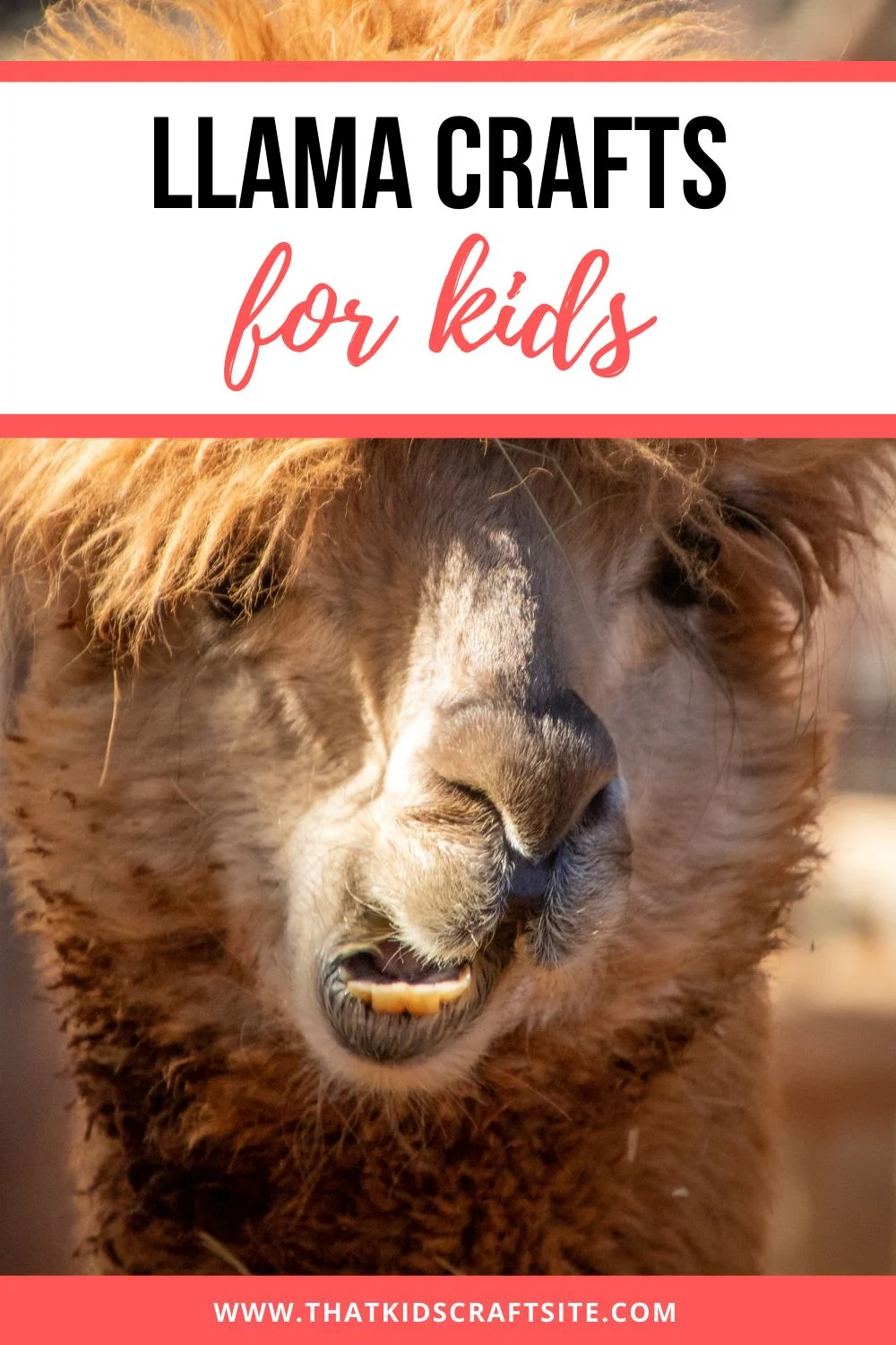 20 Lovely Llama Crafts for Kids