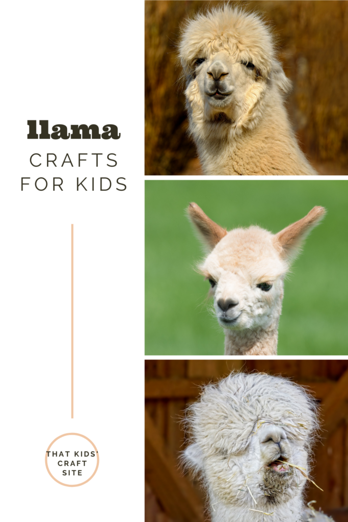 Easy and Fun Llama Crafts for Kids - That Kids' Craft Site