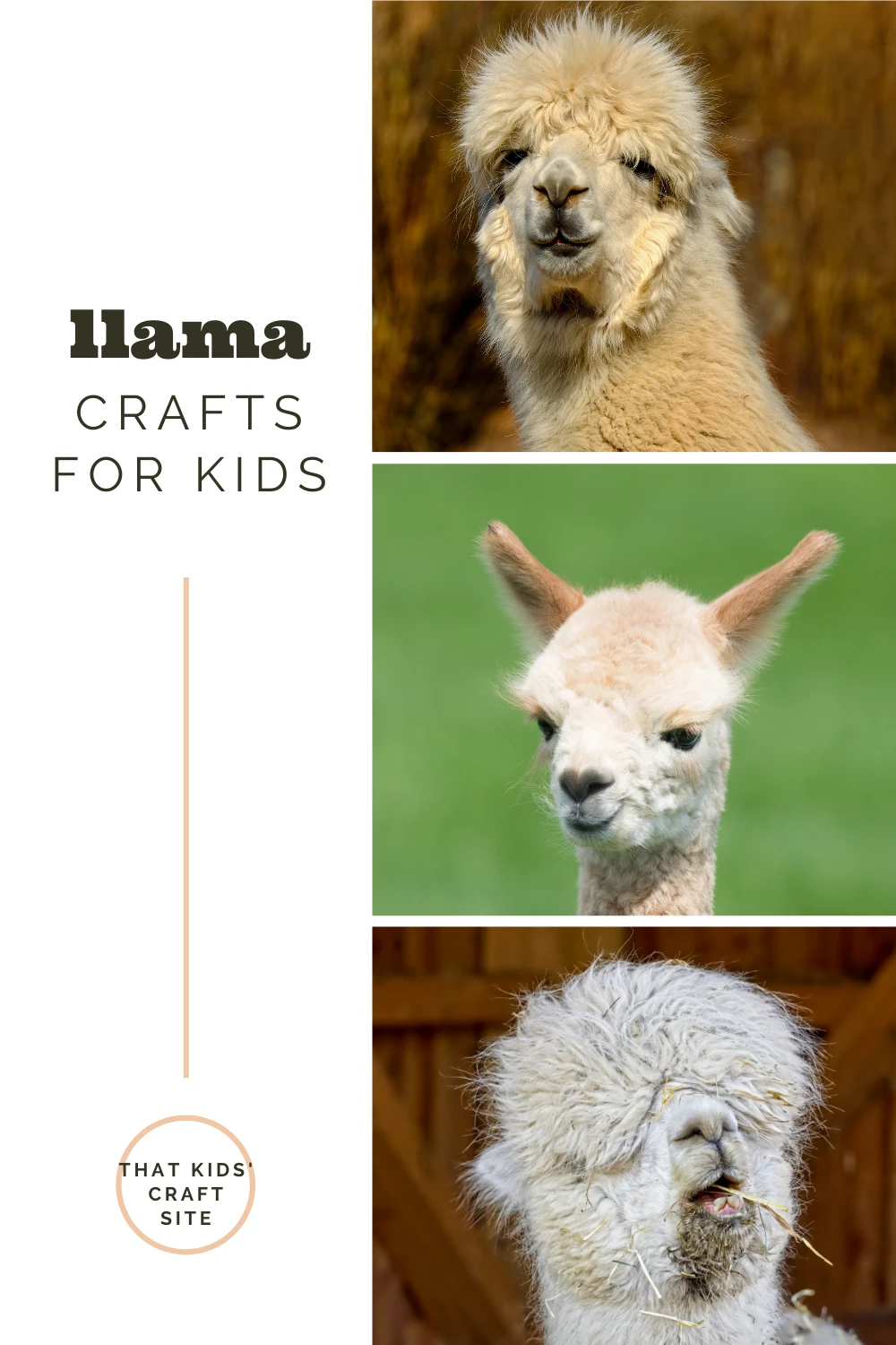 Llama Crafts for Kids