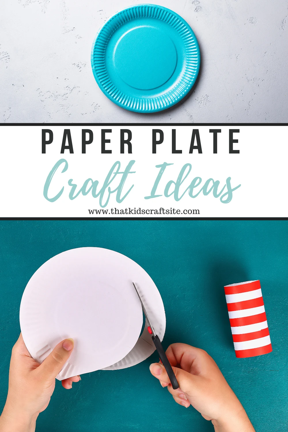 Paper Plate Craft Ideas