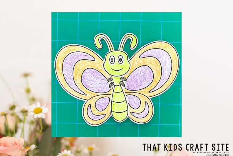 Butterfly Paper Craft