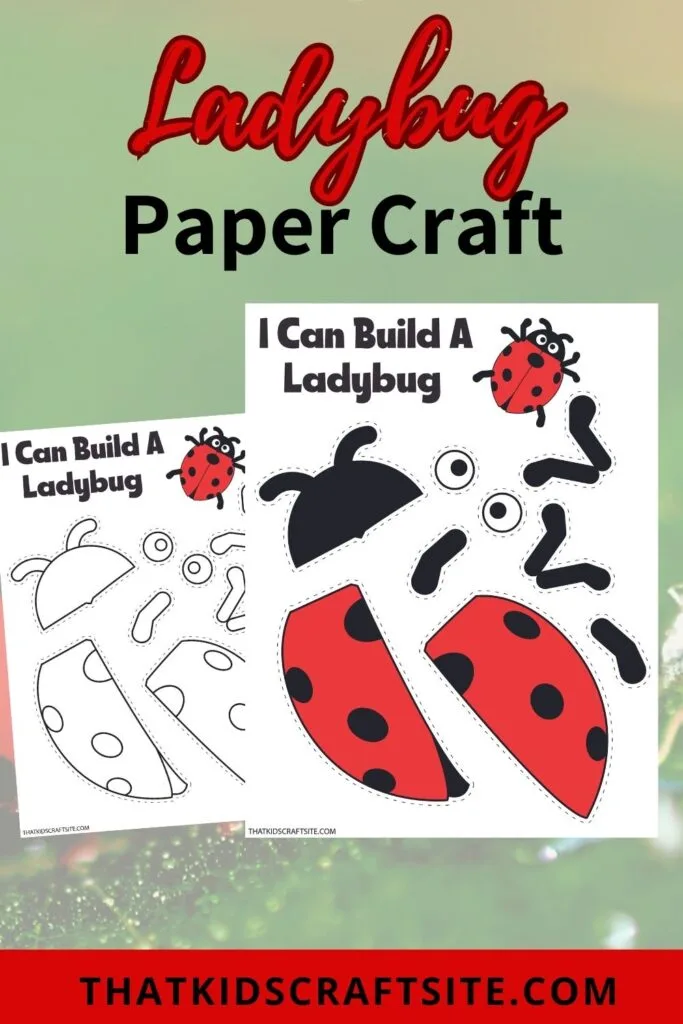 Lady Bug Paper Craft