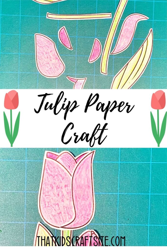 Tulip Paper Craft