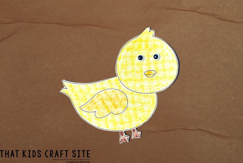 Bird Craft 