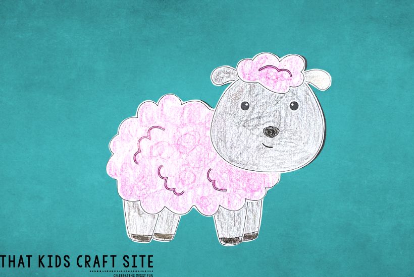 Sheep Craft 