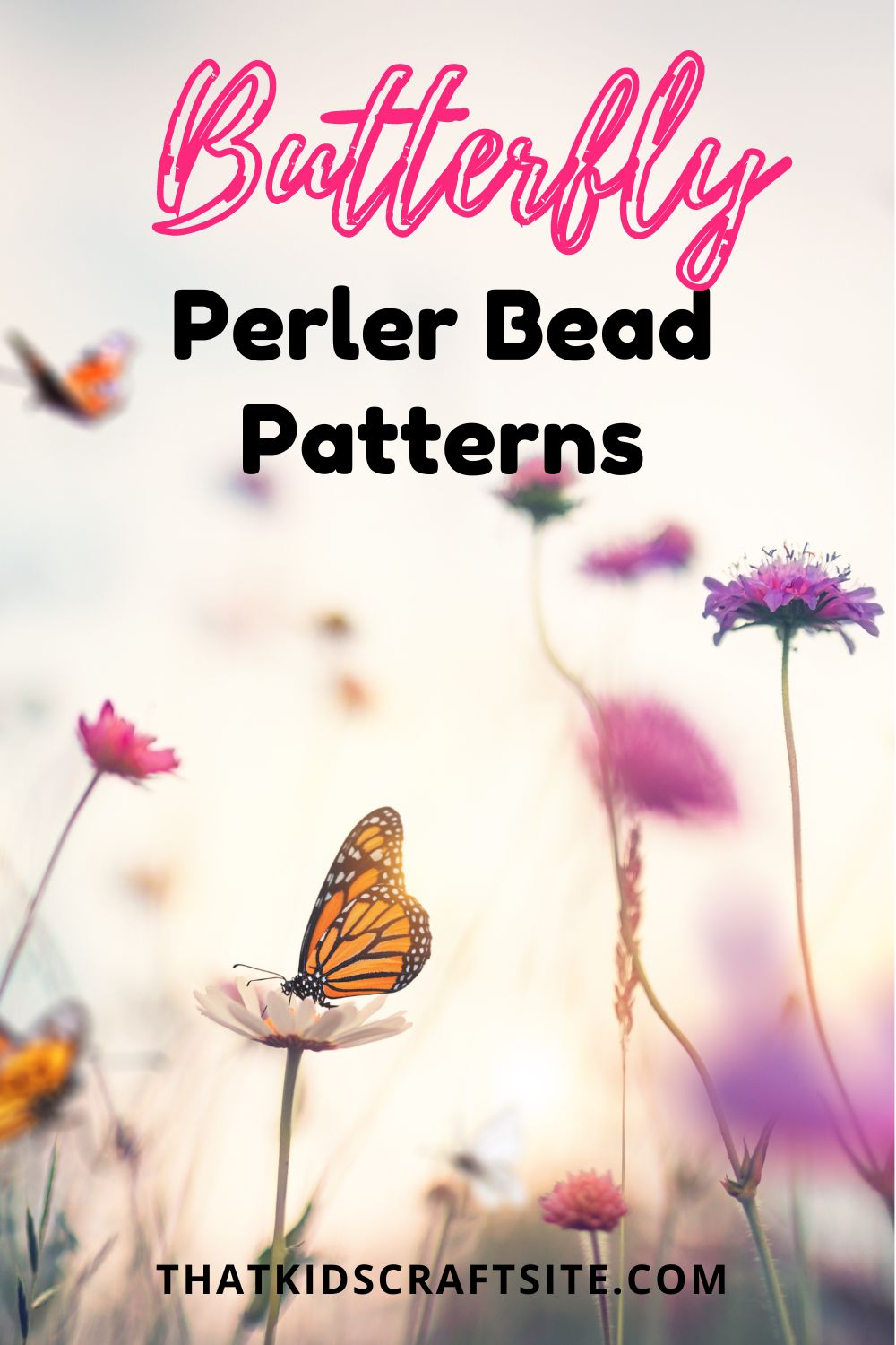 Butterfly Perler Bead Patterns